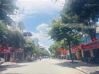 Bán mảnh đất mặt phố ô tô tránh kinh doanh kim quan  việt hưng  long biên, cực hiếm còn sót lại.