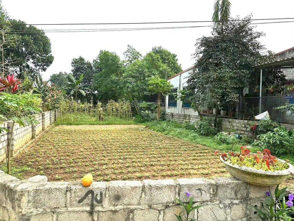 Em cần bán gấp lô đất 290m2 có 200m2 thổ cư giá cắt lỗ để trả nợ ngân hàng