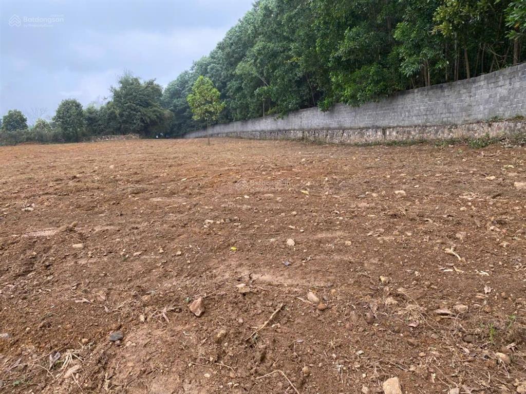 Đất mặt hồ miếu xã xuân mai vị trí cực kỳ đẹp mà giá chỉ có vài triệu 1 mét vuông