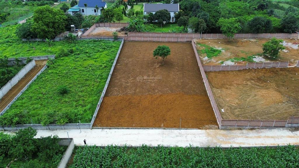 Chú em đang nhờ bán lô đất 103 m2 full thổ cư  đất đẹp nhất xã đại yên