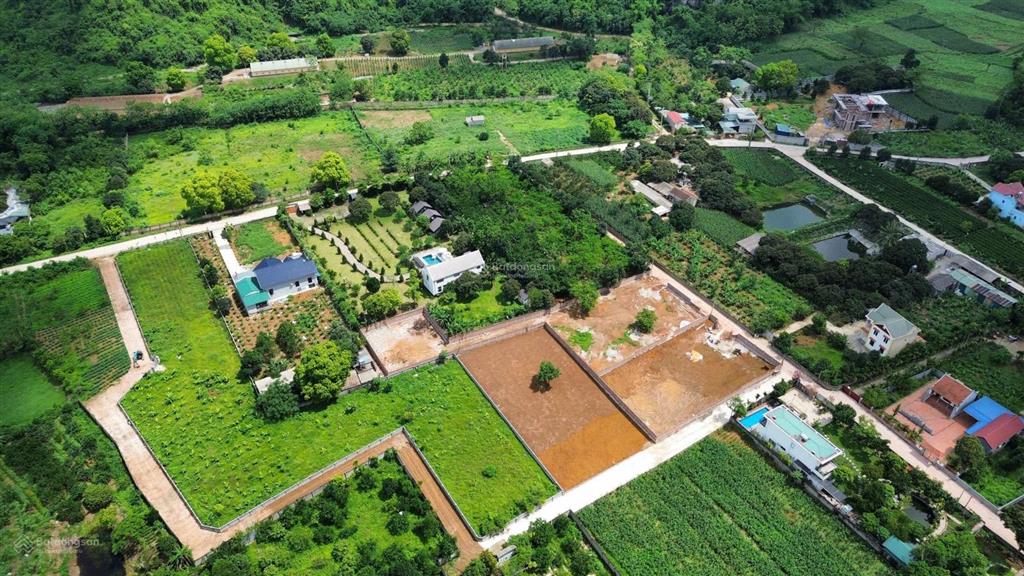 Chú em đang nhờ bán lô đất 103 m2 full thổ cư  đất đẹp nhất xã đại yên