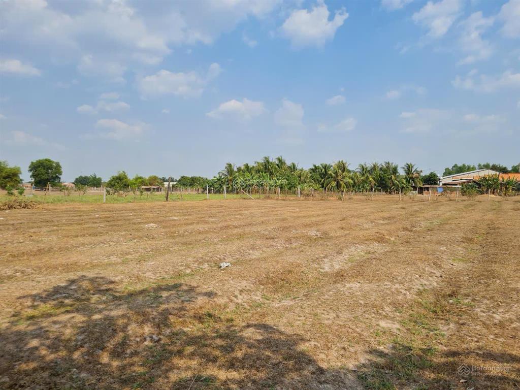 Bán gấp đất nông nghiệp tại mtđ đt 821, ấp lộc hòa, xã lộc giang, huyện đức hòa, tỉnh long an