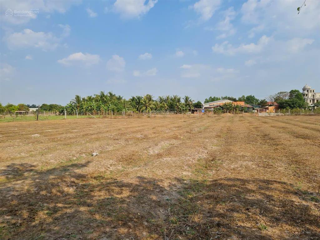 Bán gấp đất nông nghiệp tại mtđ đt 821, ấp lộc hòa, xã lộc giang, huyện đức hòa, tỉnh long an