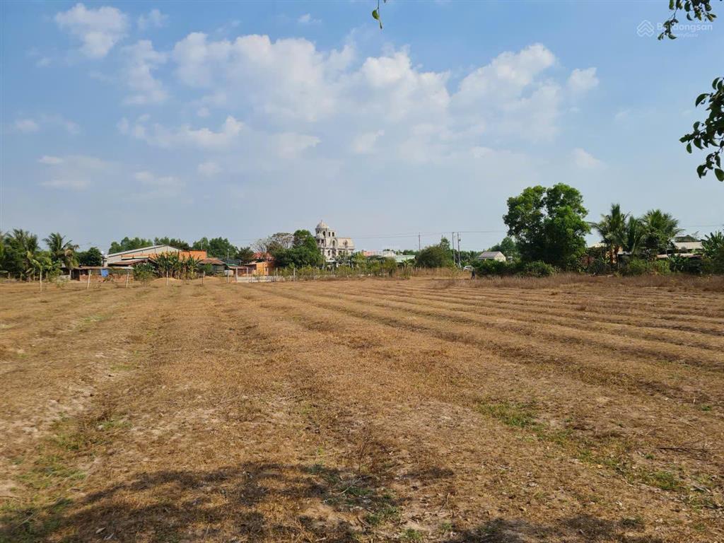 Bán gấp đất nông nghiệp tại mtđ đt 821, ấp lộc hòa, xã lộc giang, huyện đức hòa, tỉnh long an