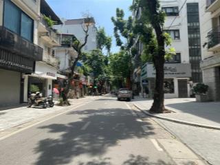 Mặt phố lý nam đế  vỉa hè  ô tô  kinh doanh  thửa đất vuông vắn  phù hợp xây toà 7 tầng