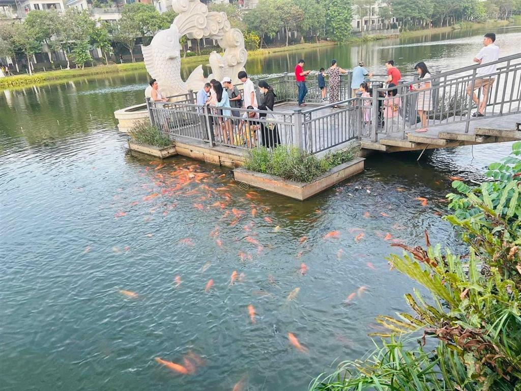 Cần bán gấp nhà phố 5x20m lakeview city, 1 trệt 3 lầu, giá tốt 17.5 tỷ.