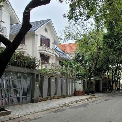 Bán biệt thự 47 tỷ, dt 215m2, mt 10m, gần hồ và trường quốc tế, kđt văn quán, hà đông