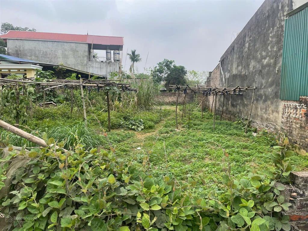 Bán đất 256m2 tại đường 21, xã thuỷ xuân tiên, chương mỹ, hà nội, giá 4,1 tỷ