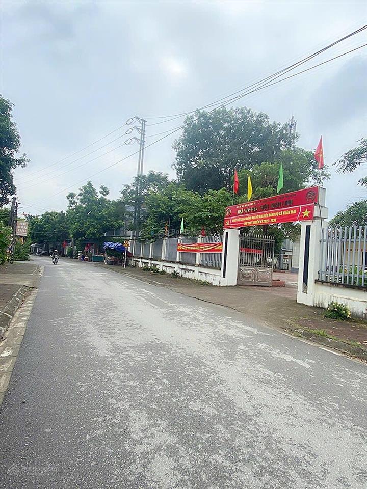 Bán đất 256m2 tại đường 21, xã thuỷ xuân tiên, chương mỹ, hà nội, giá 4,1 tỷ