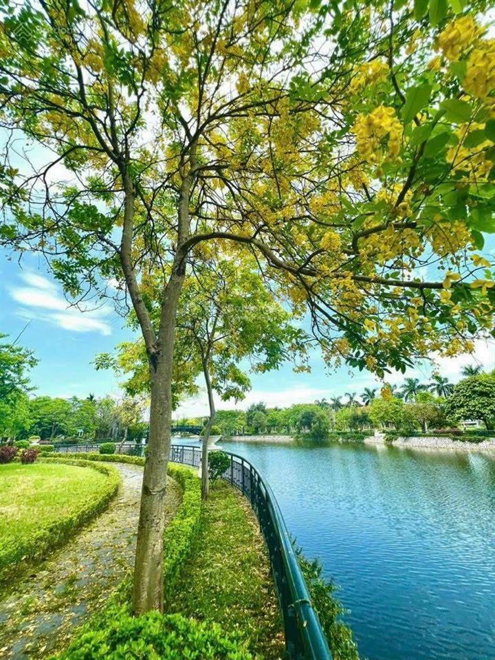 Chị sếp gửi bán khai xuân biệt thự mặt hồ 345m2  130tr/m2 đất, mua là thắng(căn quá đẹp)có 102