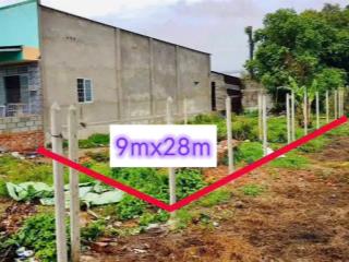 Siêu phẩm đất đẹp tại phước thạnh, củ chi, 650 triệu, 252m2