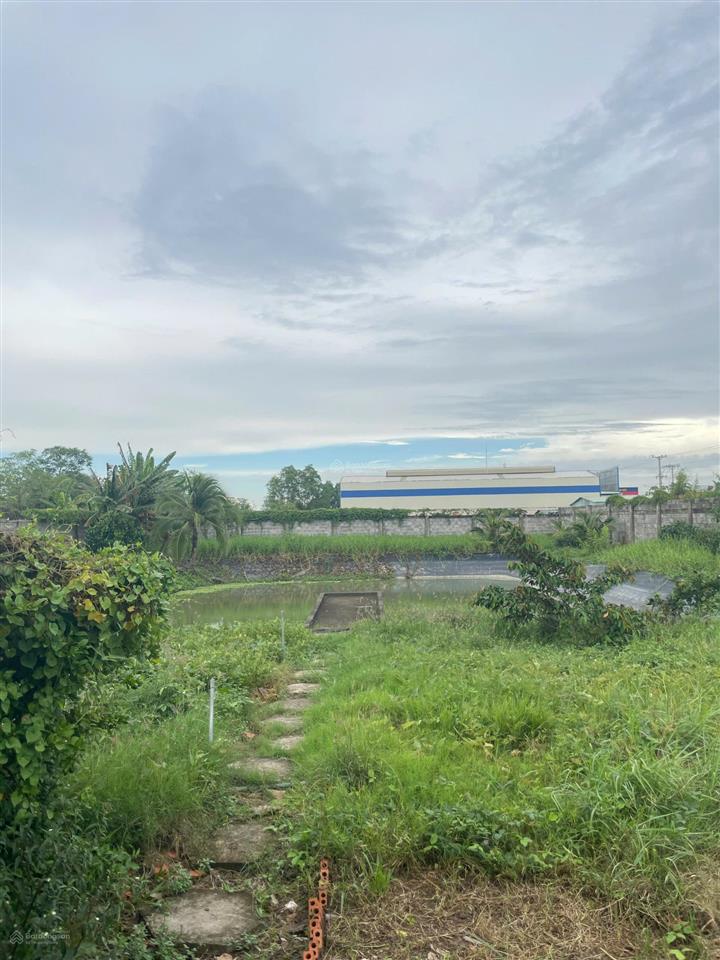 Bán biệt thự nghỉ dưỡng dt 30x80m, nằm ngay đt862, gò công đông, cách tp. hcm 60km theo hướng ql50