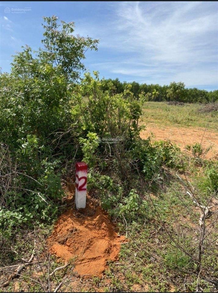 Chính chủ bán đất 8000m2 gần biển hòa thắng, bắc bình. cách biển 3km. giá tốt. đường xe tải