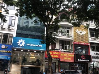 Mặt phố trần đăng ninh  kinh doanh  dân trí cao ở sướng. hiếm bán 55m2 x 5t. giá nét 26tỷ6