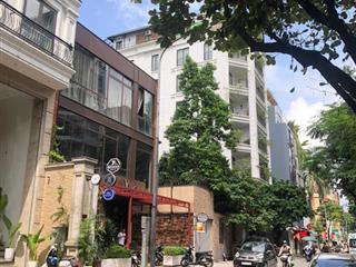 Bán nhà mặt phố vip linh lang  dt 85m2, mt 7m  trung tâm ba đình  sát lotte liễu giai