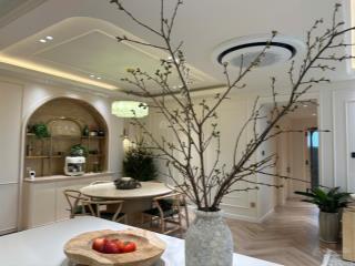 Bán căn hộ rvp full nội thất mới 100%, diện tích 123m2, 3pn2wc, căn góc, view công viên cực đẹp