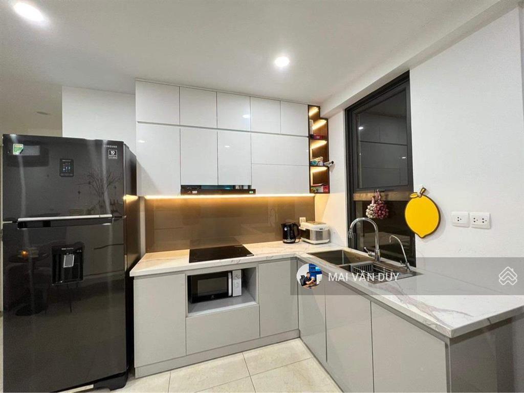 Cho thuê căn hộ 2 phòng full nội thất d'capitale trần duy hưng. giá 18tr/tháng