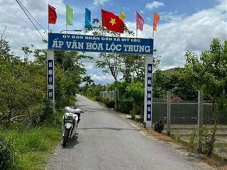 Bán đất 209m2 mặt tiền đường nhựa cộng đồng lộc trung mỹ lộc cần giuộc la, giá 1 tỷ 650tr shr
