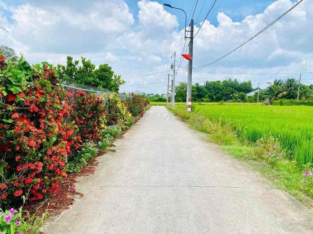 Bán đất đường xe hơi 16 chỗ tại mỹ lộc, cần giuộc, long an, 129 m2, giá 1 tỷ 280tr shr