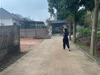 Bán đất quốc lộ 2b, kim long, tam dương, vĩnh phúc, 1,56 tỷ, 130m2 giá ưu đãi