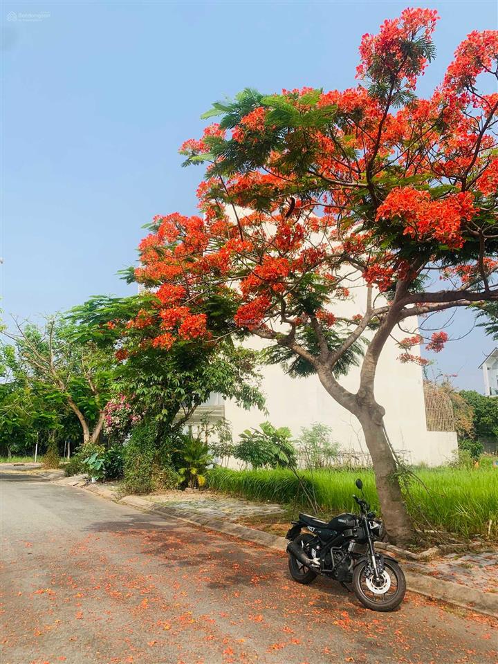 41 triệu/m2. diện tích 230m2 lô biệt thự giá tốt nhất phú xuân vạn hưng phú nhà bè.  0986 766 ***