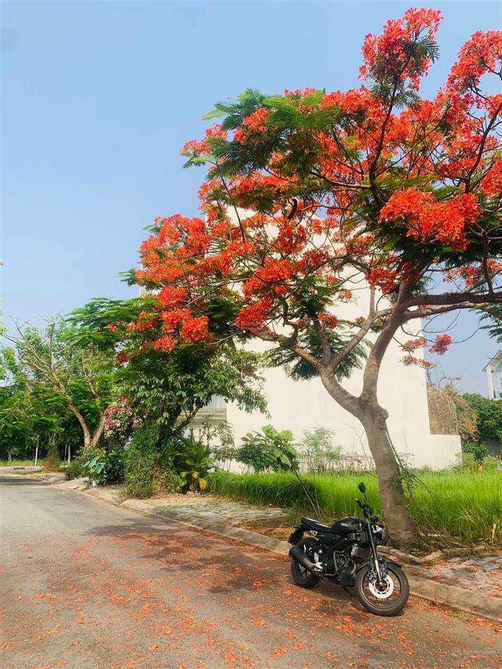 45,5tr/m2  dt 200m². lô biệt thự song lập view sông hàng hiếm giá tốt phú xuân vph  0986 766 ***
