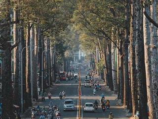 Mặt tiền trần hưng đạo, quận 1, dt 12m x 26m, dtcn 300m ngay chợ bến thành, giá 185 tỷ tl