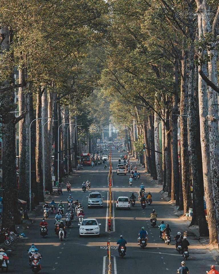 Mặt tiền pasteur, phường võ thị sáu, quận 3, dt 28m x 40m, dtcn 869m, giá 450 tỷ tl