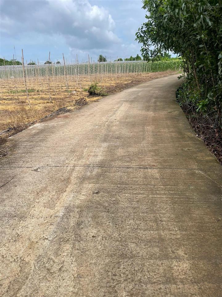 Bán đất ngay chợ láng dài vũng tàu, giá 190tr, cách biển lộc an 5km