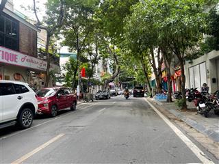 Bán nhà phố hàng chuối, hai bà trưng, ô tô đỗ cửa, gần phố, 56m2, mt 9m. giá 15.5 tỷ. hiếm