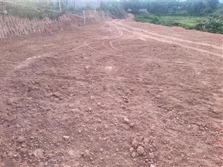 Chính chủ bán lô đất trồng cây lâu năm mặt tiền đường đt 602