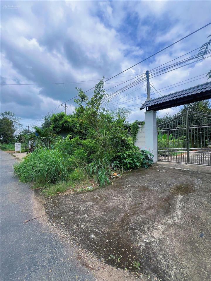 Đất mặt tiền dh509 tp hcm  nằm trong lòng khu dân cư 1.018m² (100m² thổ) bao sổ 650tr