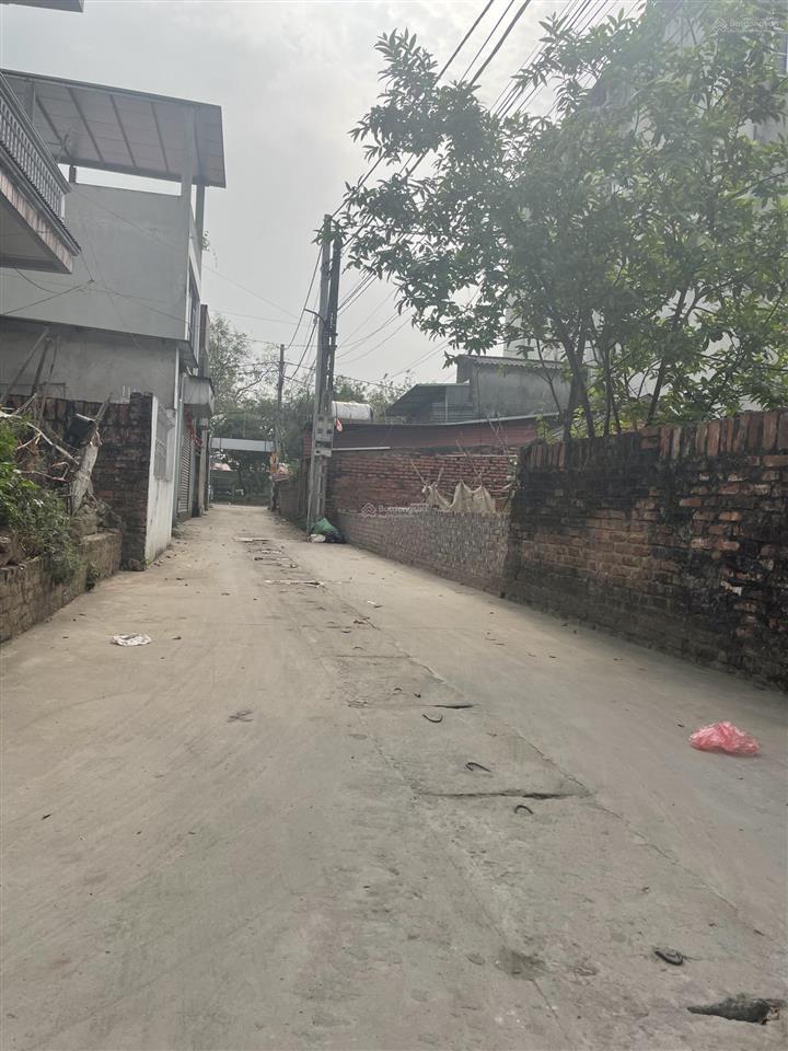 Bán 120m phúc thịnh (vân nội, đông anh) cạnh khu đấu giá, đường thông thoáng oto tải vào tận đất