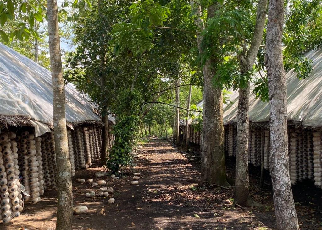 125m mặt tiền đường nhựa bảo quang  long khánh