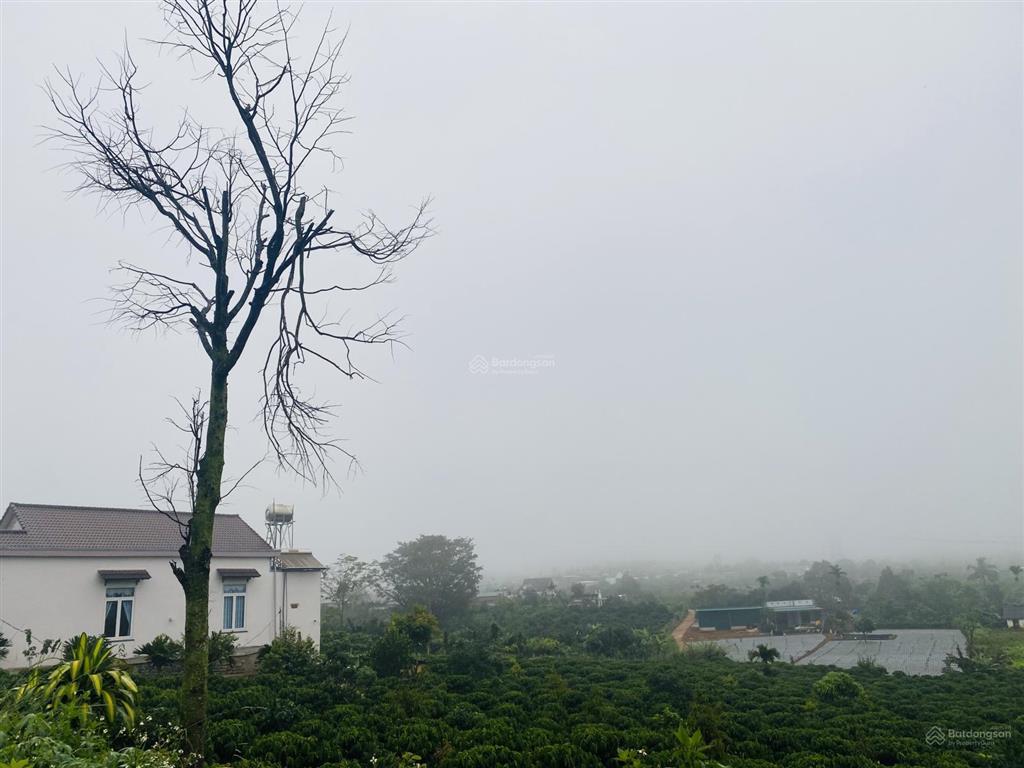 Hạ giá bán lỗ sâu lô đất thổ cư sổ riêng 599m2, gần trường tân hà