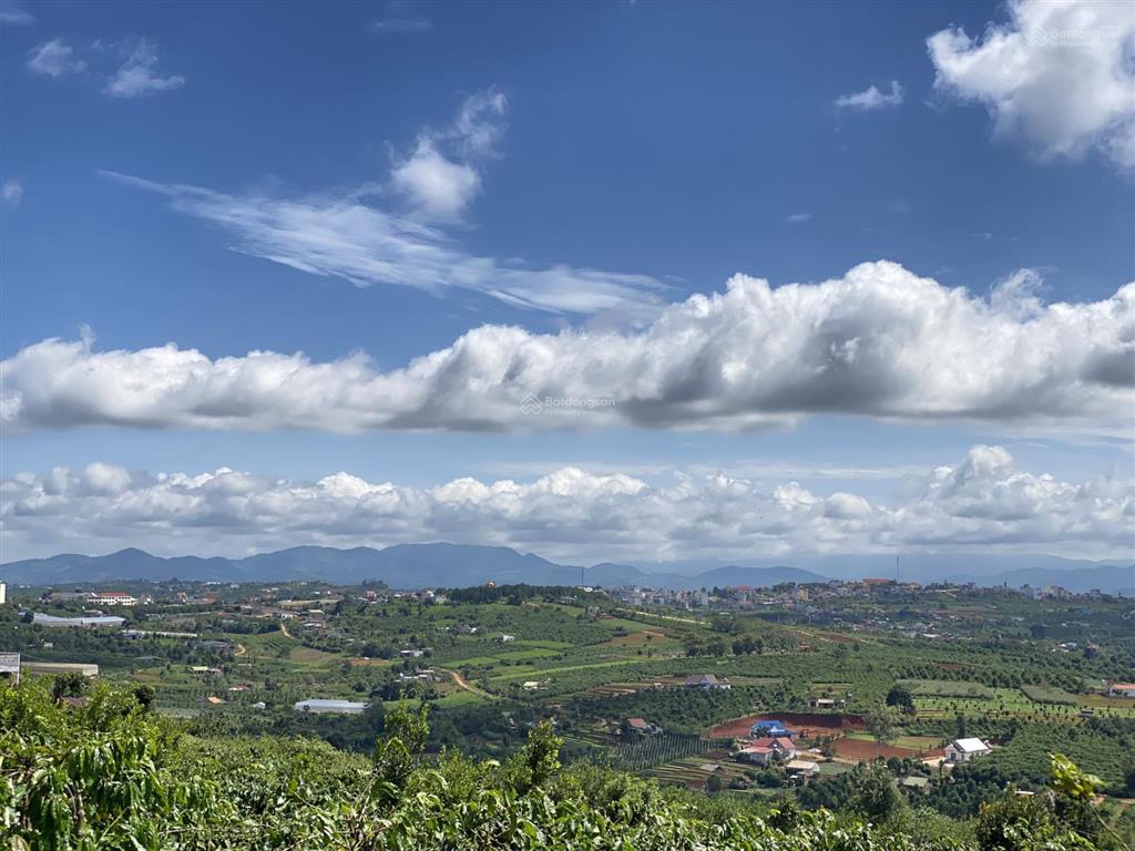 Hạ giá bán lỗ sâu lô đất thổ cư sổ riêng 599m2, gần trường tân hà