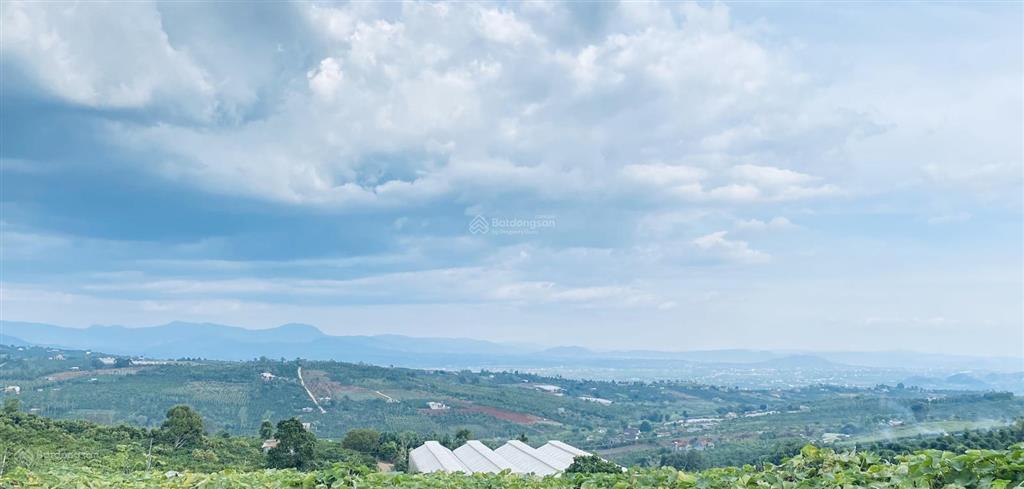 8x50m đất đường trần phú, cách chợ tân hà 5p