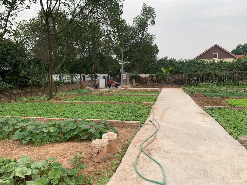 Đất vân nam cực đẹp tài chính chỉ 1.4 tỷ  0987 224 ***