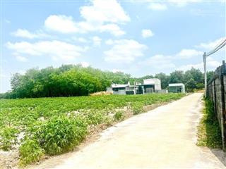 Chính chủ cần bán gấp lô đất hưng long , thị xã chơn thành 490tr , pháp lý rõ ràng sổ hồng sẳng