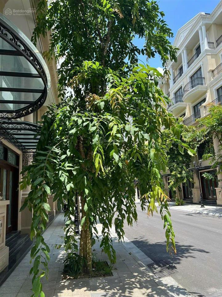 Chính chủ ngộp bank cần bán căn liền kề 70 m2 sổ lâu dài. đảo dừa phân khu vip. số lượng hữu hạn