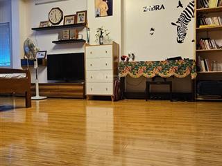 Bán gấp nhà mặt phố hồng hà quận hoàn kiếm vỉa hè kinh doanh ô tô tránh đỗ 230 m28 m