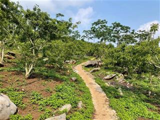 Bán đất nghỉ dưỡng gần quốc lộ 6, mường sang, mộc châu, sơn la, 3,8 tỷ, 15000 m2