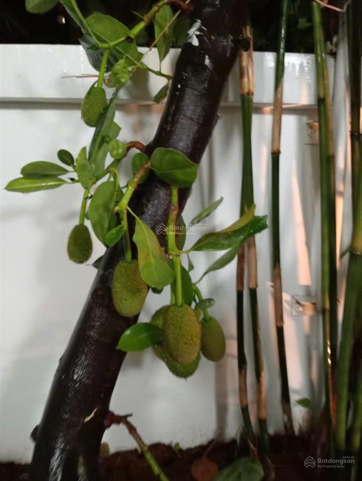 Bán penthouse  biệt thự trên không cao cấp, đẹp nhất tại sky garden, phú mỹ hưng, quận 7