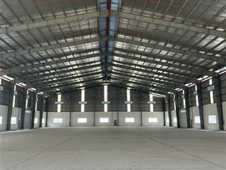 Bán nhà xưởng mới xd đang có thu nhập 173tr/tháng, kcn đức hòa tiếp giáp vành đai 4