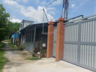 Bán gấp đất suối lội, thổ kdc hiện hữu tân thông hội 8x23m