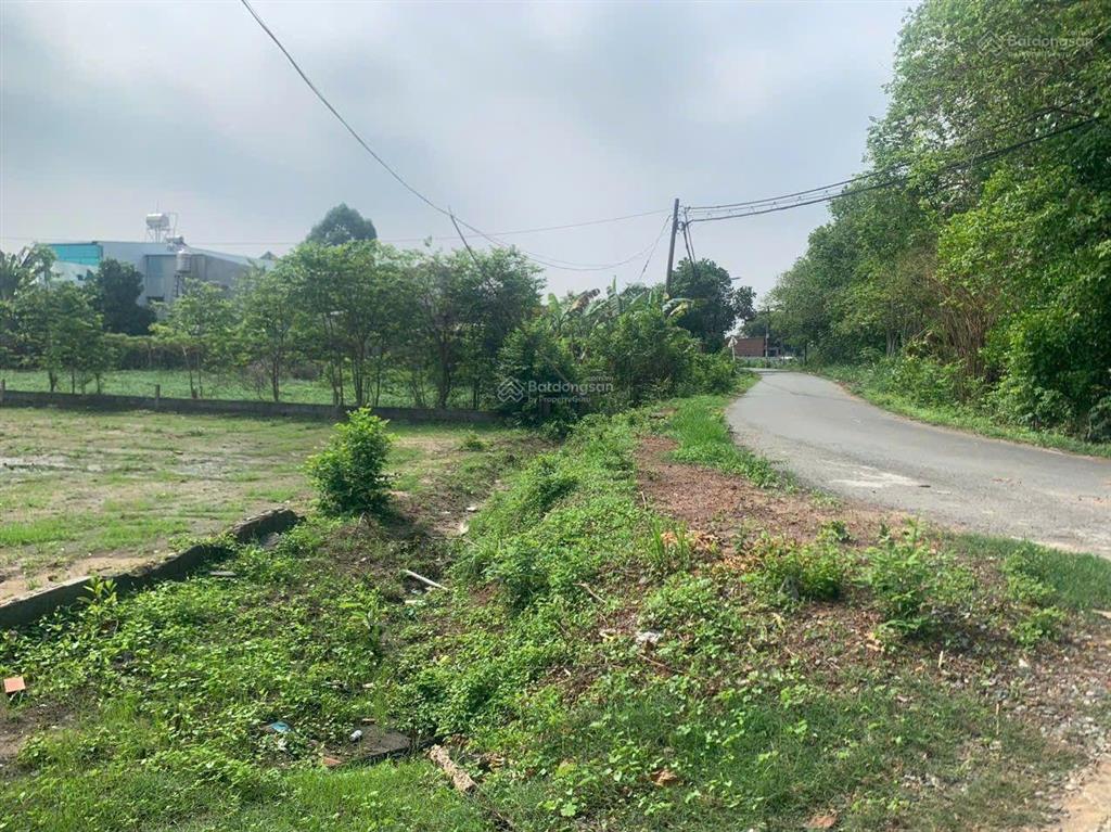 Bán đất kdc hiện hữu mặt tiền đường nhựa xã phước vĩnh an giá rẻ chỉ 5,2 tr/m2