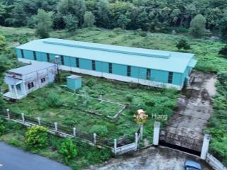 Bán nhà xưởng mới, đường container phù hợp sx nhiều ngành nghề