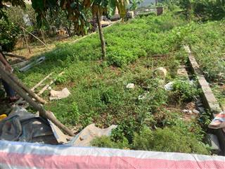 Thôn 2, phú cát, quốc oai, hà nội. em cần bán lô 155,6m2, l/h 0916 238 ***