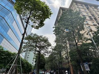 Bán shophouse dòng tiền phố lê văn lương, 280m2, 2t, mt 6m, dòng tiền hơn 2 tỷ/năm.