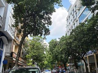 Bán nhà mặt phố nguyễn công hoanba đình, 72m2, 5t, mt 5.43m, ở+cho thuê, doanh thu 540tr/năm.